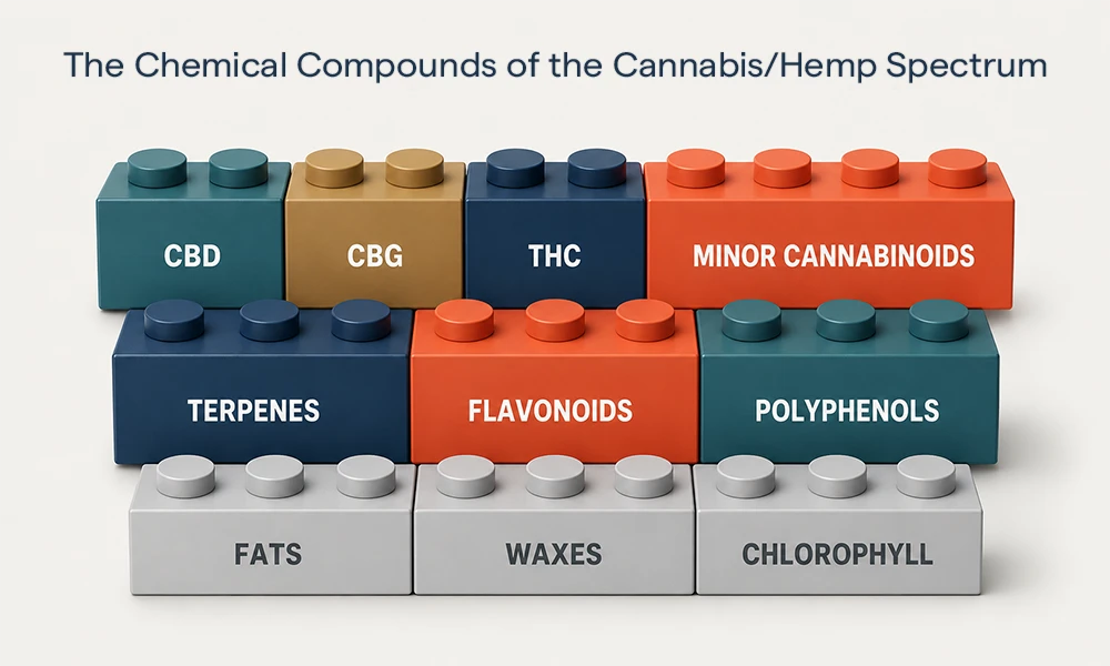 Crafting Our Proprietary Hemp Extract Spectrum