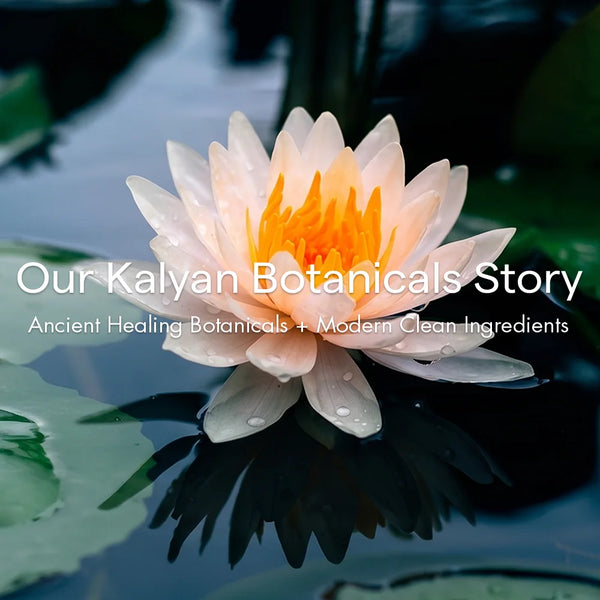 Our Story